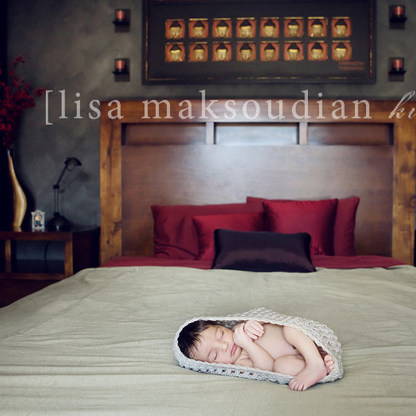 .baby love.  lisa maksoudian-newborn photographer in california