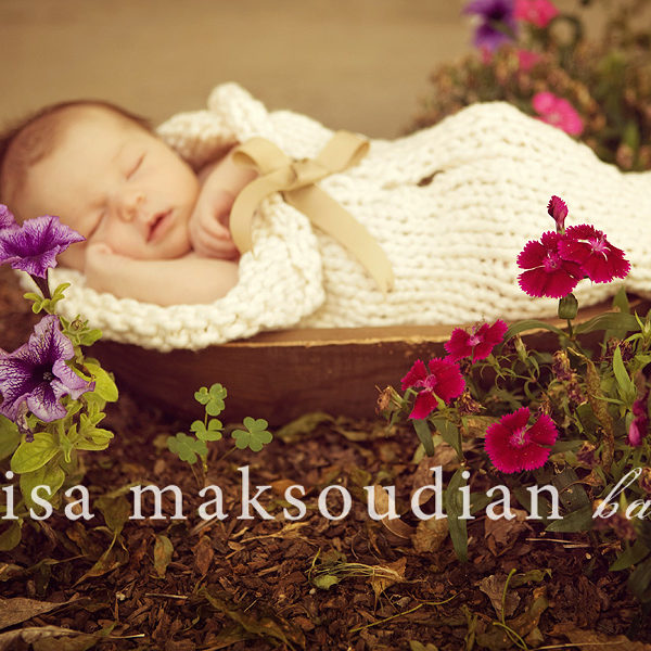 .sweet petunia.  sacramento newborn photographer