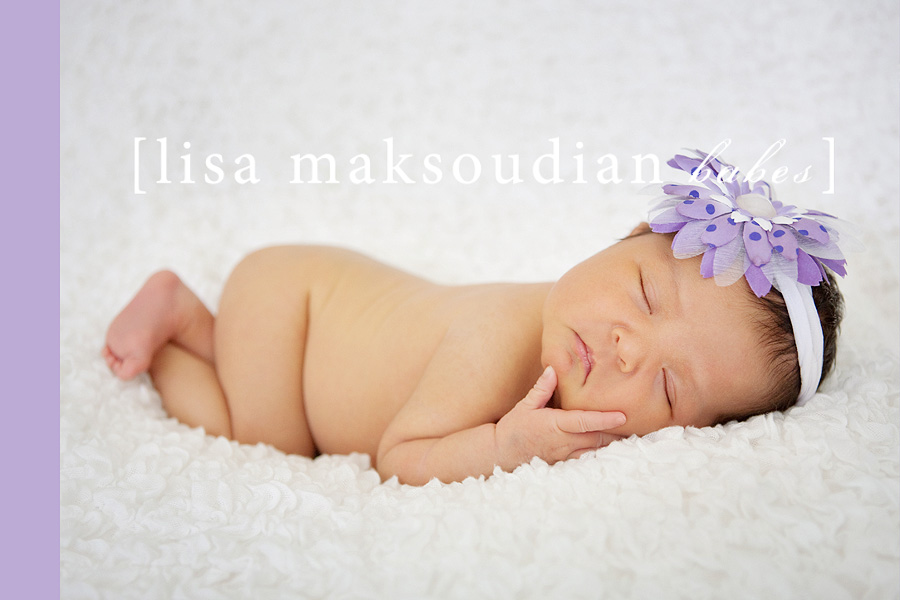 san luis obispo newborn photographer lisa maksoudian specializes in baby photography including infants, babes and toddlers