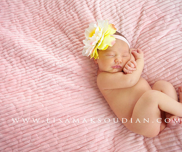 pink lemonaide | newborn portrait photography