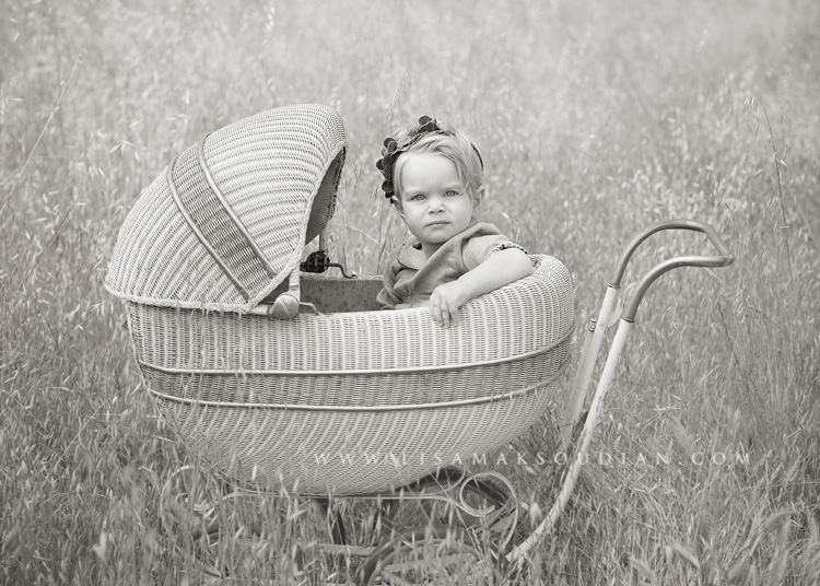 vintage baby in a carriage, black and white child, field with baby in a buggy