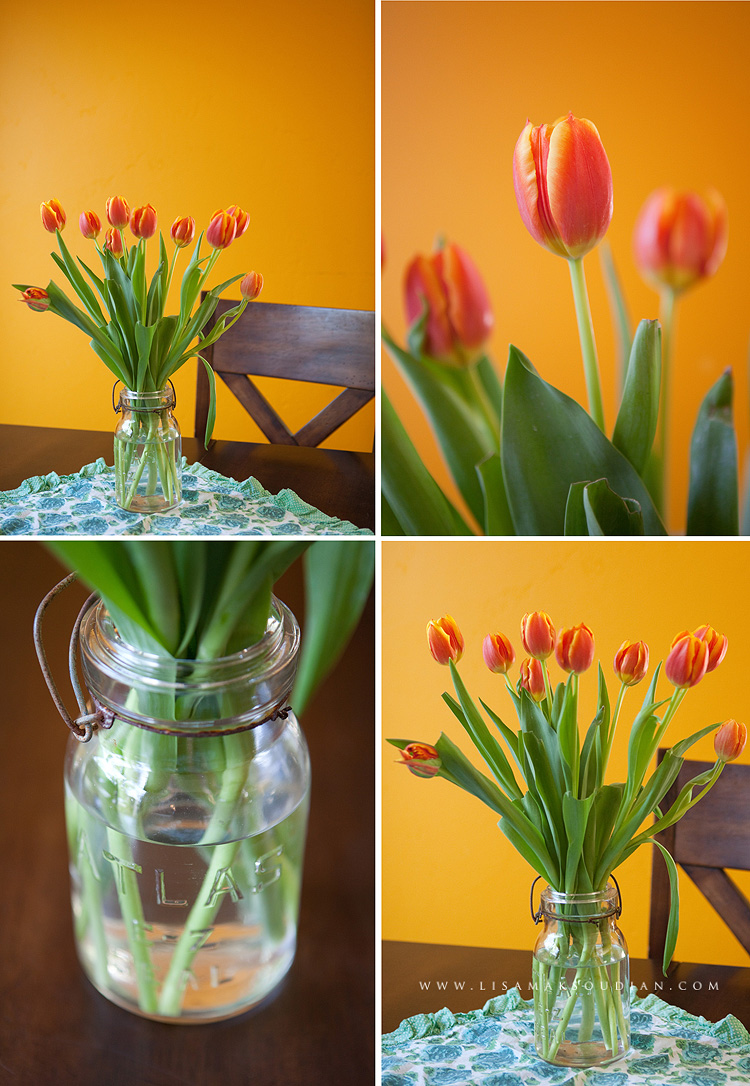 flowers, red tulips, mothers day