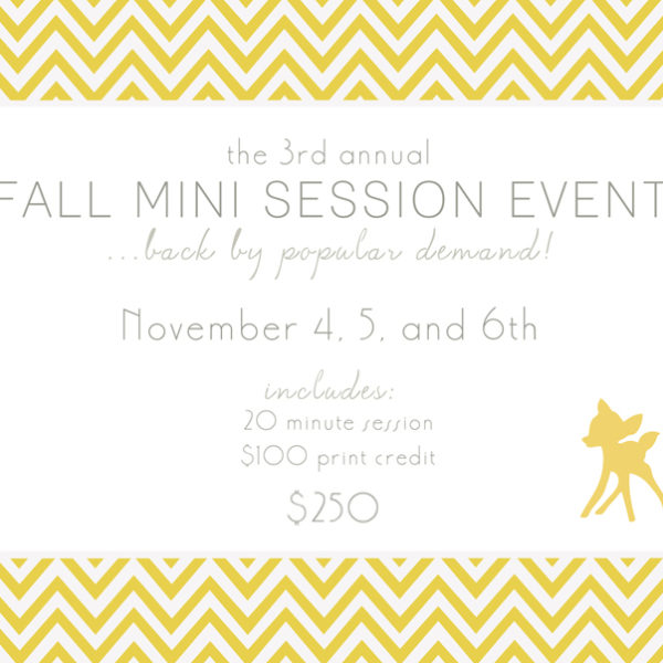 Fall Mini Session Event |  California Children's Photographer